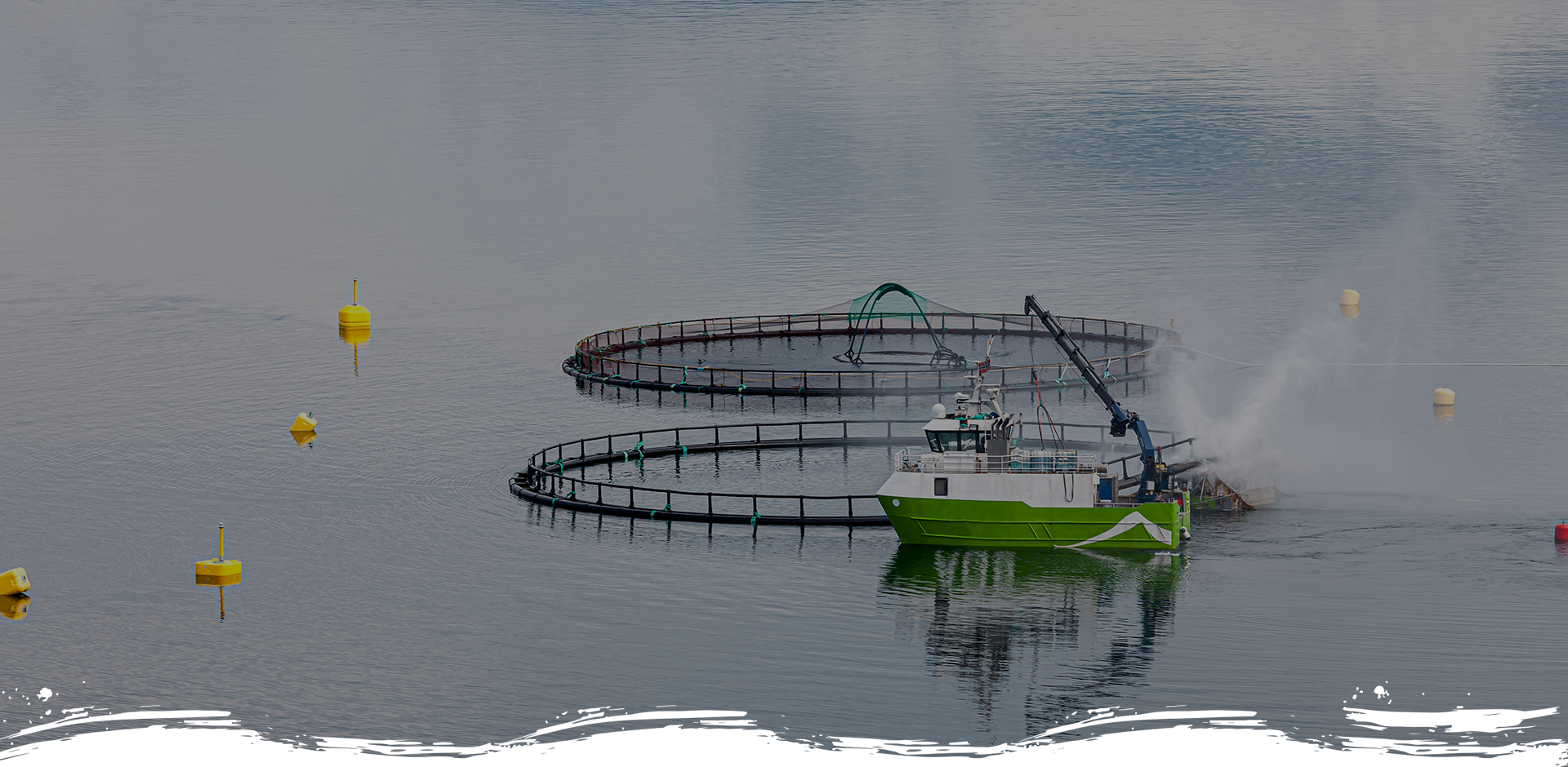 Nantong Yangfan Marine Equipment Co., Ltd.